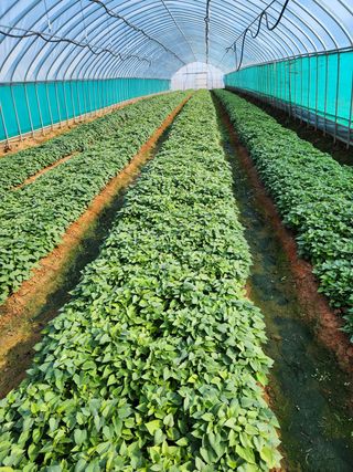 박효식님의 자유주제 · 자유게시판 작성글 사진