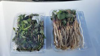 천종현님의 기타작물 · 자유게시판 작성글 사진