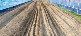 한마음농원님의 고추 · 토양준비 작성글 사진