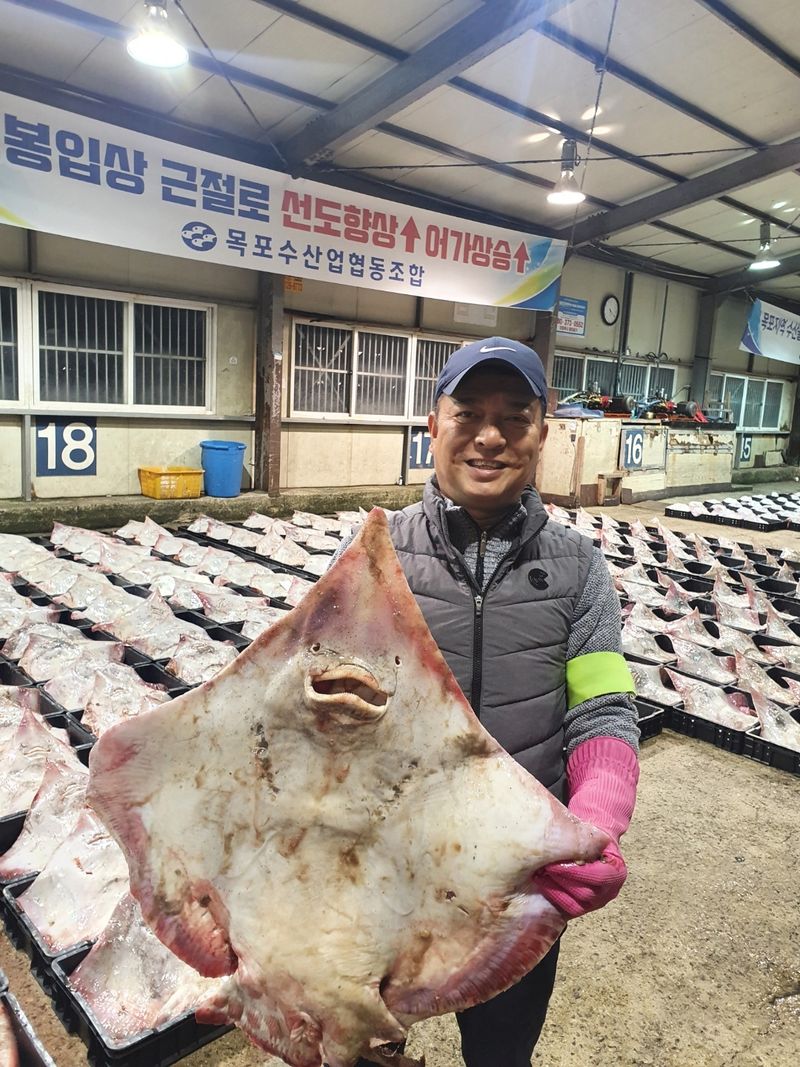 영호수산 고양석님의 장터 판매 상품 [국산홍어] 첨부 사진