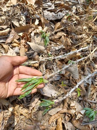 알 수 없음님의 기타작물 · 자유게시판 작성글 사진
