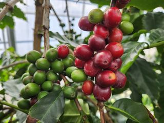 Gotem님의 기타작물 · 자유게시판 작성글 사진