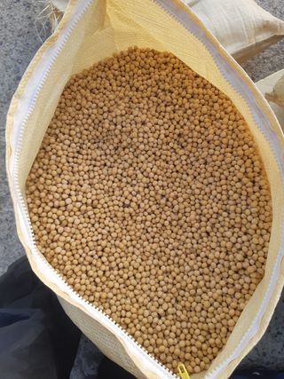 이용근님의 작성글 사진