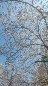 팜모닝 자유주제·자유게시판 게시글 이미지