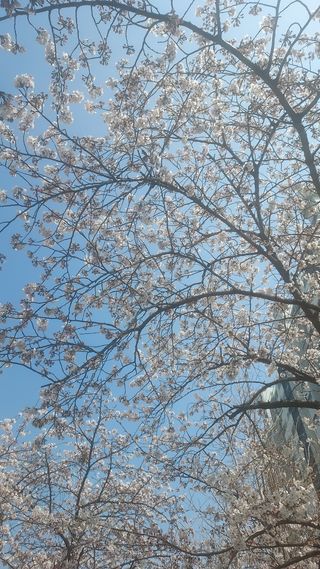 천지창조님의 자유주제 · 자유게시판 작성글 사진