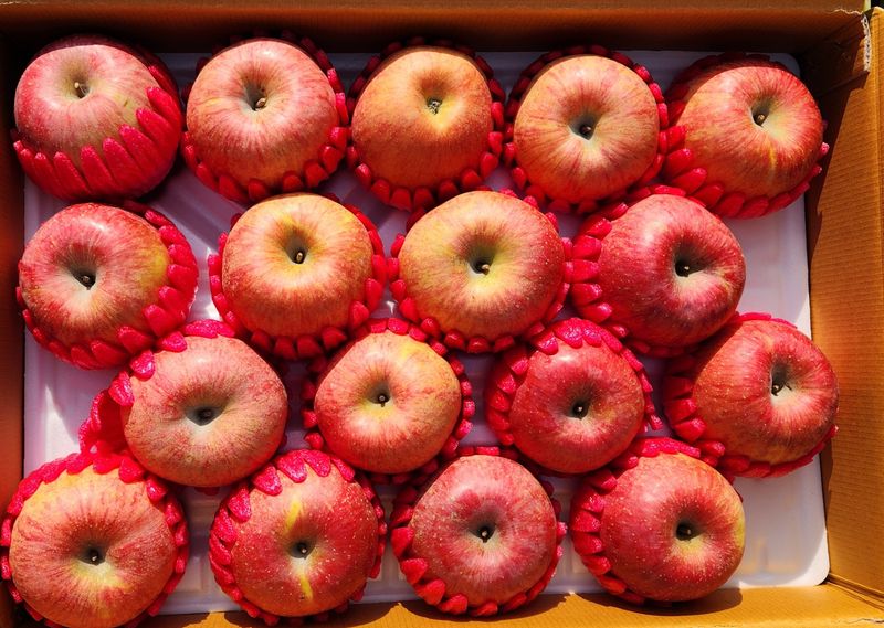 이원정님의 장터 판매 상품 [ 내사과를 받아줘사과즙도 여기서 2박스] 첨부 사진