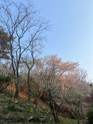 홍키통키님의 자유주제 · 자유게시판 작성글 사진