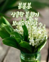 팜모닝 하우스정보·시공사례•후기 게시글 이미지