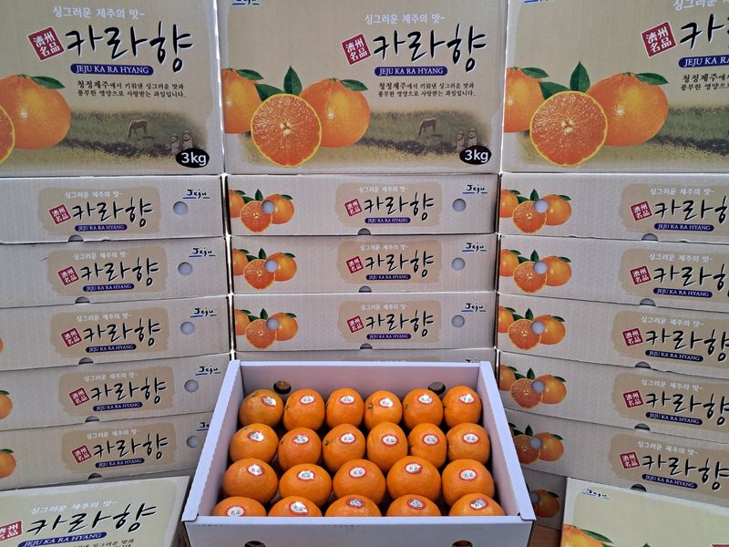 장터 상품 [[판매중단] 새콤달콤 고당도 제주 카라향 3kg.1박스] 썸네일