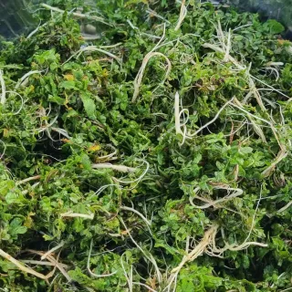 Bmww2226님의 감자 · 자유게시판 작성글 사진