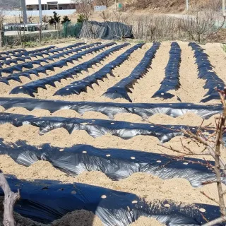 Bmww2226님의 감자 · 자유게시판 작성글 사진