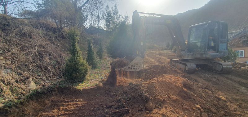 최종일님의 장터 판매 상품 [주목 2~2.5m판매해요/나무/조경수] 첨부 사진