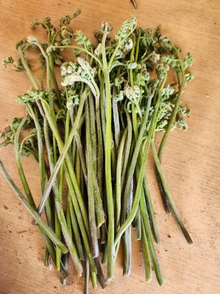 임태빈탑정호주말농장님의 기타작물 · 자유게시판 작성글 사진