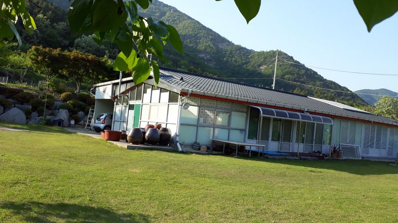 김금옥님의 장터 판매 상품 [매실액기스. 매실~파인애플] 첨부 사진