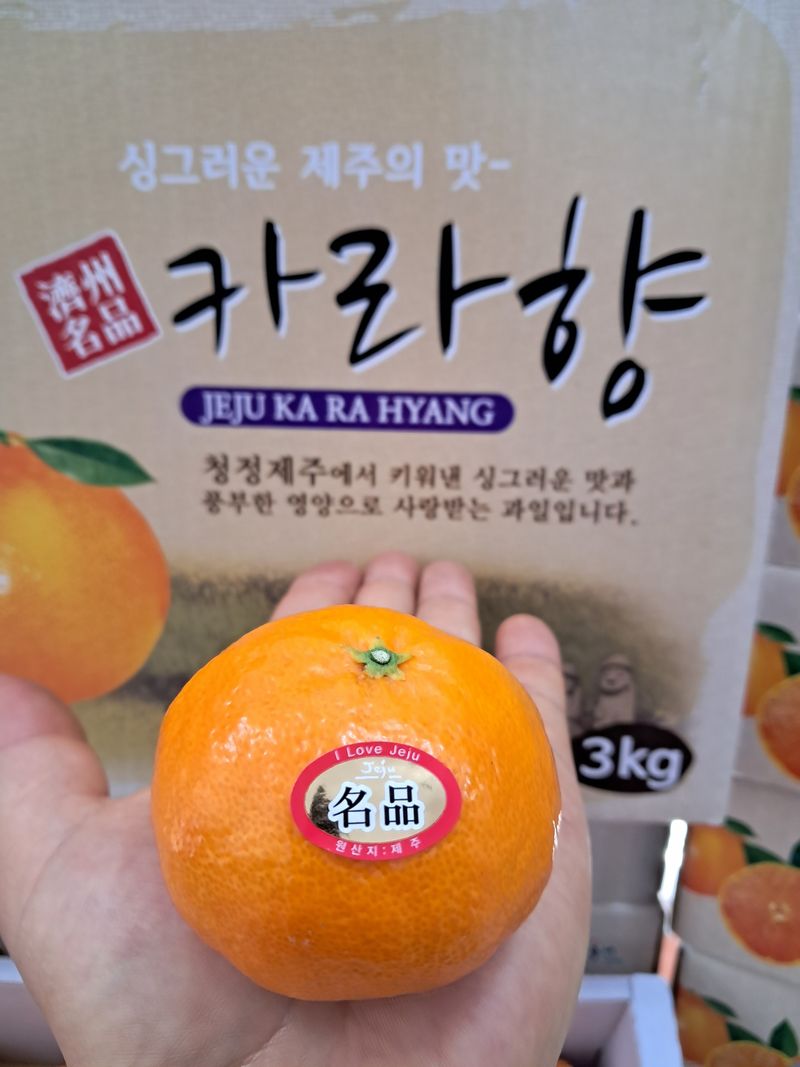 장터 상품 [[판매중단] 🍊🍊🍊제주도 카라향🍊🍊🍊 ] 썸네일