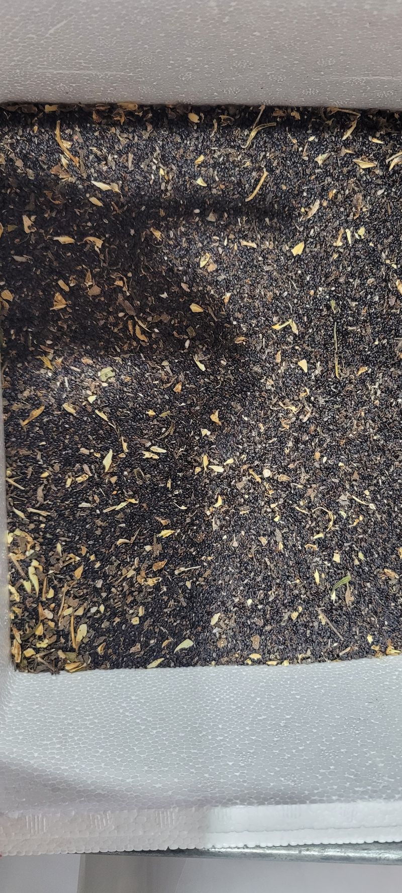 장터 상품 [도라지 씨앗 14.16키로] 썸네일