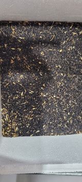 팜모닝 · 게시글 이미지