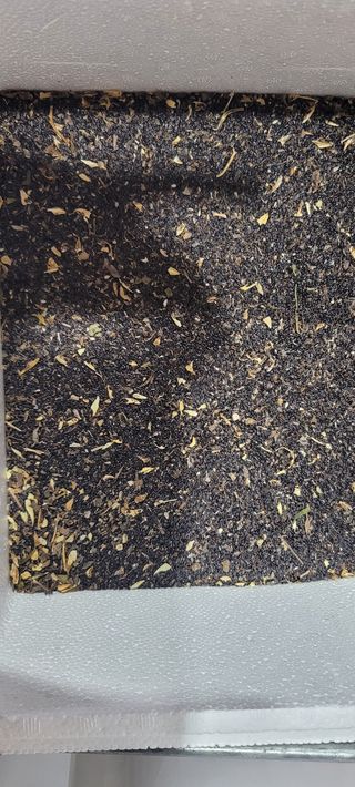 진용농사27년차님의 작성글 사진