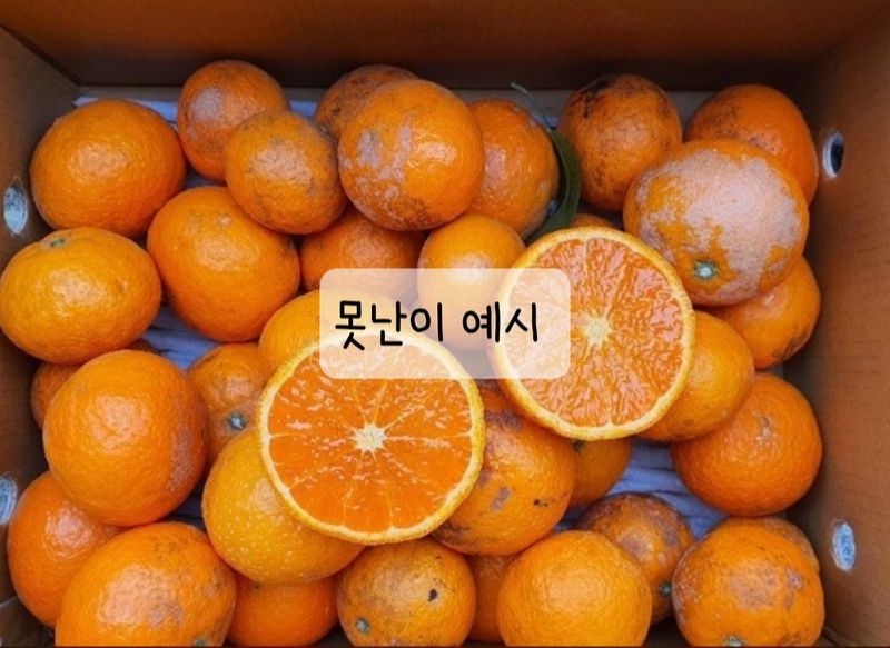 프룻하늬님의 장터 판매 상품 [[판매마감]제주도 카라향 어버이날 선물용/로얄과/못난이] 첨부 사진
