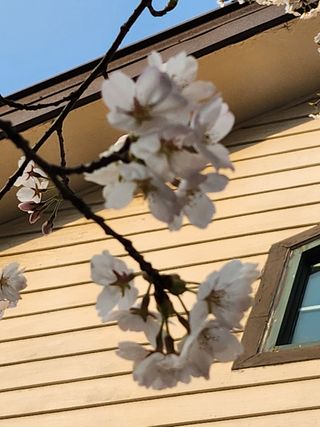 자연과의 소통님의 자유주제 · 자유게시판 작성글 사진