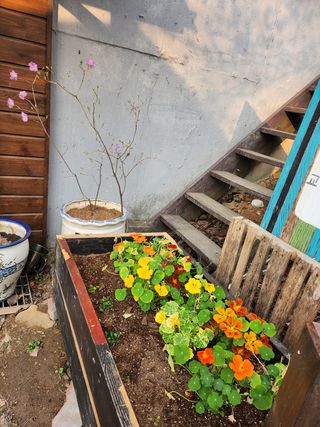 자연과의 소통님의 자유주제 · 자유게시판 작성글 사진