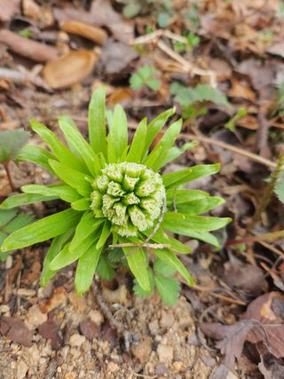 자연과의 소통님의 자유주제 · 자유게시판 작성글 사진