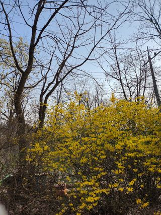 자연과의 소통님의 자유주제 · 자유게시판 작성글 사진