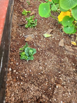 자연과의 소통님의 자유주제 · 자유게시판 작성글 사진