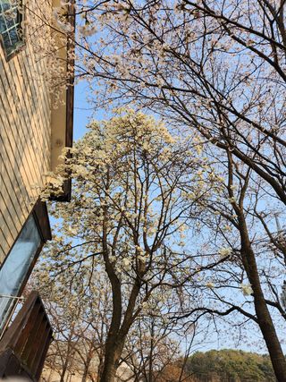 자연과의 소통님의 자유주제 · 자유게시판 작성글 사진