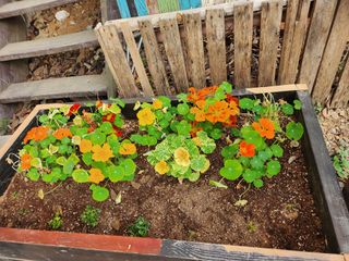 자연과의 소통님의 자유주제 · 자유게시판 작성글 사진