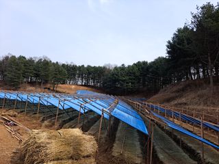 이재국님의 자유주제 · 자유게시판 작성글 사진