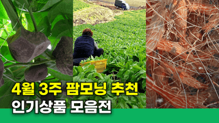 팜모닝님의 장터이야기·공지 작성글 사진