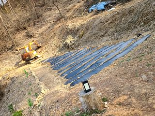 박정희님의 옥수수 · 자유게시판 작성글 사진