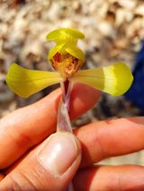 팜모닝 자유주제·자유게시판 게시글 이미지