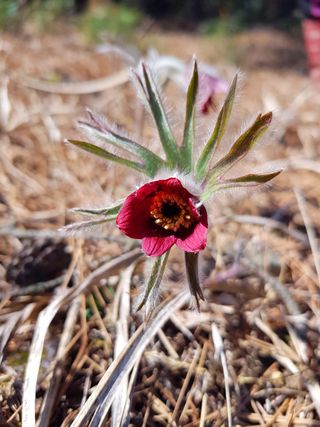 농사꾼 단비님의 자유주제 · 자유게시판 작성글 사진