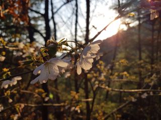 농사꾼 단비님의 자유주제 · 자유게시판 작성글 사진