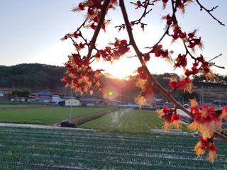 농사꾼 단비님의 자유주제 · 자유게시판 작성글 사진