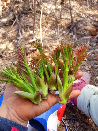 농사꾼 단비님의 자유주제 · 자유게시판 작성글 사진