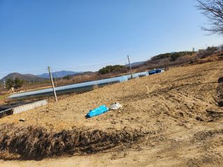 댕이골표영환님의 복숭아 · 자유게시판 작성글 사진