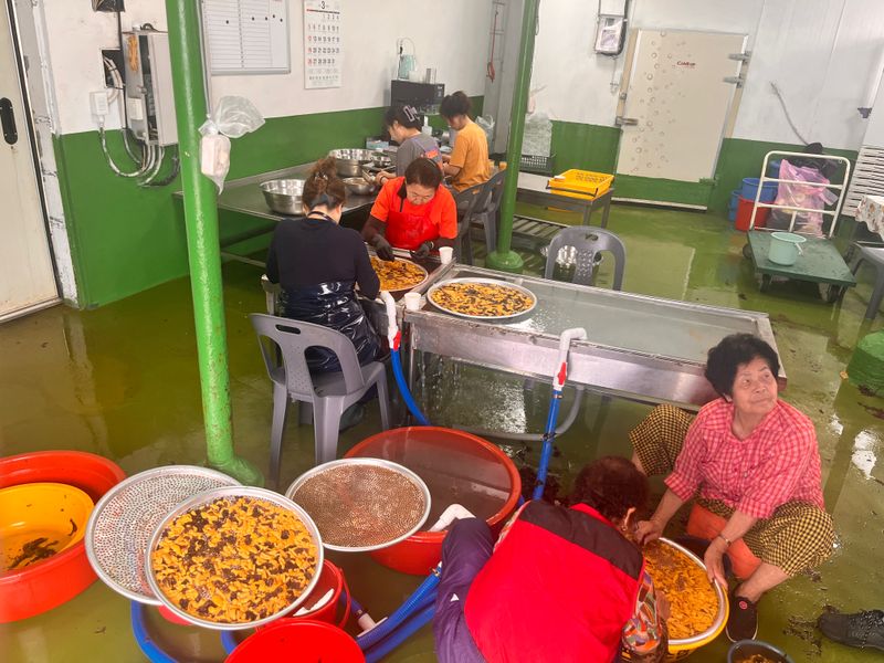 모어더더님의 장터 판매 상품 [(당일손질)포항 성게알 생물] 첨부 사진