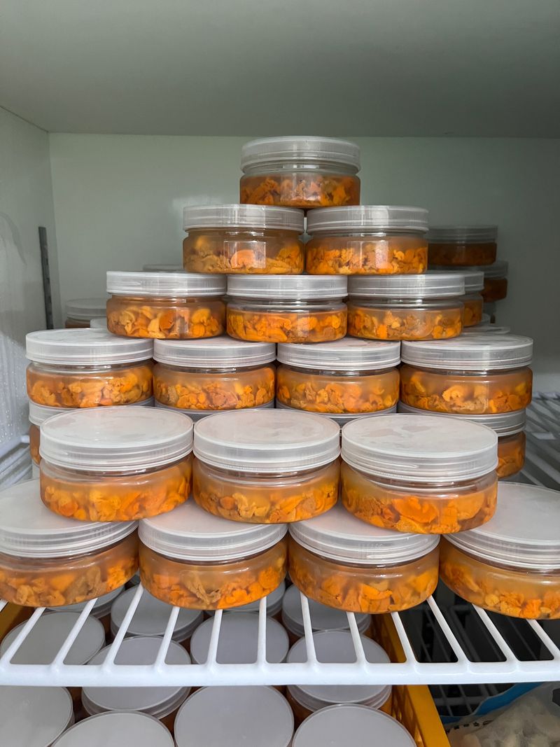 모어더더님의 장터 판매 상품 [(당일손질)포항 성게알 생물] 첨부 사진