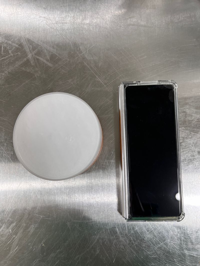 모어더더님의 장터 판매 상품 [(당일손질)포항 성게알 생물] 첨부 사진