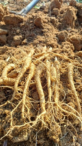 임오빈님의 작성글 사진