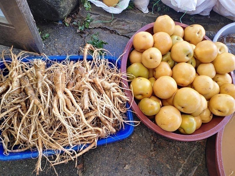 장터 상품 [도라지배즙 100포 ㅡ물한방울 넣지않구 장시간 진하게 달엿어요] 썸네일