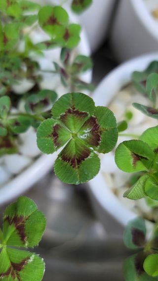 푸르나니님의 자유주제 · 자유게시판 작성글 사진