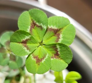 푸르나니님의 자유주제 · 자유게시판 작성글 사진