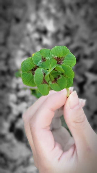 푸르나니님의 자유주제 · 자유게시판 작성글 사진