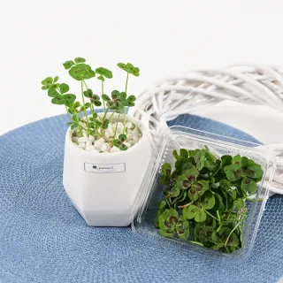 푸르나니님의 자유주제 · 자유게시판 작성글 사진