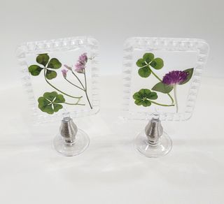 푸르나니님의 자유주제 · 자유게시판 작성글 사진