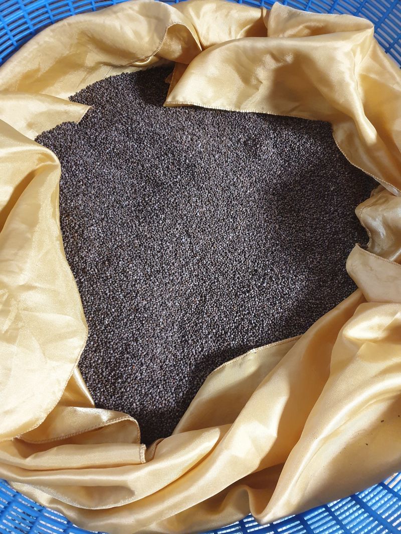 조태순 님의 장터 판매 상품 [들깨6키로] 첨부 사진